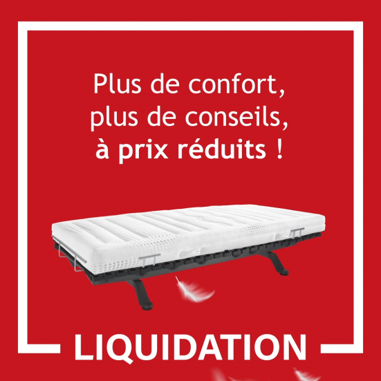 Liquidation Swissflex